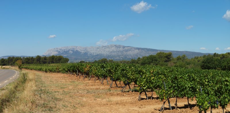 Le vignoble de Pourcieux, dans le Var, avec un relief calcaire à l’horizon