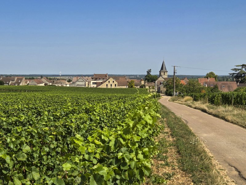 Le village et le vignoble de Vosne-Romanée